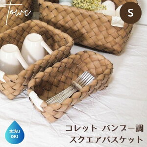 tFCNoXPbg [oXPbg 􂢉\ Towc g[N Rbg tFCNPE XNGA S