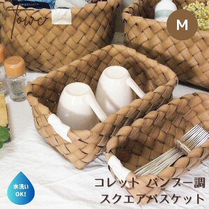 tFCNoXPbg [oXPbg 􂢉\ Towc g[N Rbg tFCNPE XNGA M