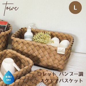 tFCNoXPbg [oXPbg 􂢉\ Towc g[N Rbg tFCNPE XNGA L