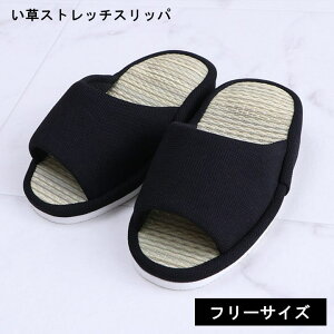  Xgb` Xbp  r L ʔN  Vv ItBX  [V[Y ubN