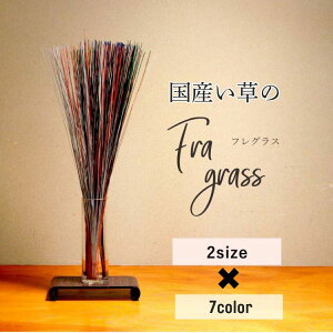 Y VR  tOX fBt[U[L a_ [X ߓ   CeA 30cm×20g 70cm×50g