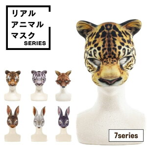 A Aj}}XN g zCg^CK[ giJC Lcl ETM qE tFCX}XN  RXv nEB