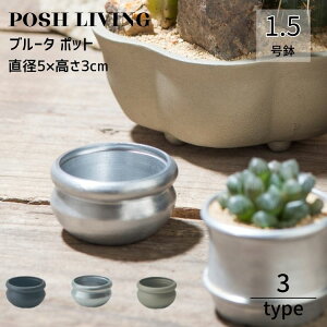 �A�ؔ� �~�j �A���~ �ꌊ���� 1.5�� �򍪐A���p �u���[�^ �|�b�g Posh Living �u���b�N �V���o�[ �S�[���h