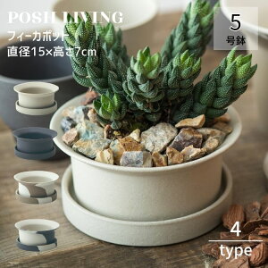 �A�ؔ� �k�� �Z���~�b�N 5�� �ꌊ���� �t�B�[�J �|�b�g Posh Living �T���h �`���R�[�� �~���N�e�B�[ �Z�T�~���e