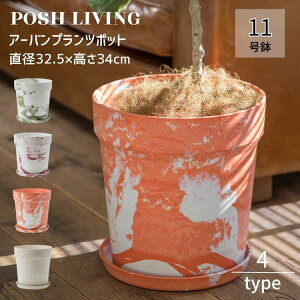 �v�����c�|�b�g 11�� ��^ �ꌊ�L �y�� ��v �}�b�g �A�[�o�� Posh Living �|�b�V�����r���O �~���N �s�X�^�`�I �J�V�X �L�����b�g �N���[��