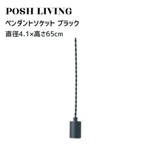 �y���_���g���C�g �\�P�b�g���C�g �_�N�g���[�� E26 100W�Ή� �u���b�N Posh Living �|�b�V�����r���O �y���_���g �\�P�b�g