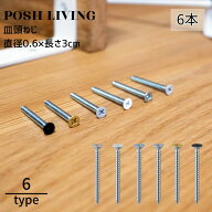 カラーねじ 皿頭 スチール 日本製 6本セット DIY用 Posh Living ブラック アンティークゴールド 無地 ラ…