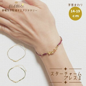 ÓdC h~ uXbg  `[ d d XeX { ELEBLO Gu X^[ `[ ÓdC΍ANZT[