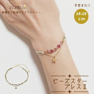 ÓdC h~ d  `[ r[Y { nhCh ELEBLOGu r[YX^[ uX 2