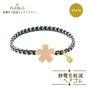 ÓdC h~ d   `[t { nhCh  ÓdC y wAS 