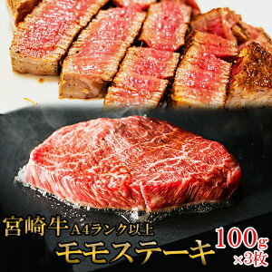 �{�苍 ���јa�� A4�����N�ȏ� �����X�e�[�L 300g 100g×3�� ���Y��