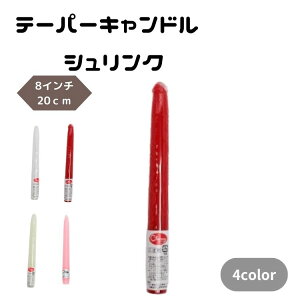 e[p[ Lh VN 8C` 20cm 낤 Cxg p[eB[ Be Cxg 䏬