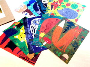 Pt{fUC |XgJ[hZbguChm[X 10vA6 14.8cm EUGRxF  tBh