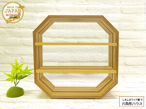 h[nEX^܂܃ChI-E Zp`nEX I[v  ؐ h 3iI g {