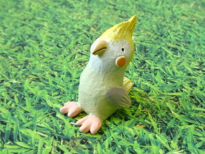 ۘaf m[eB[K[fM-2 |W u 2.4`2.5cm IJCRM tNEM S2킩I