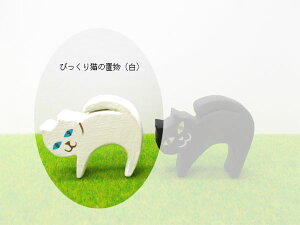 ȔL̒ui܂˂LAтLA܂Lj6ނI { nhCh ؐ 3~4.5cm F2F Pi