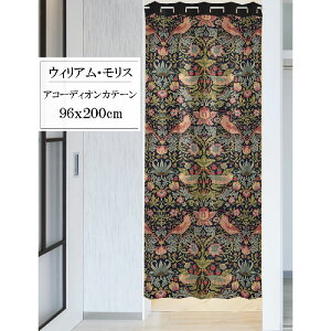 AR[fBIJ[e EBA X C`SD_ 96x200cm { 97475