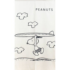 ̂ Xk[s[ SURF s[ic 2 100 85X150cm { AQWZ-11414@킢