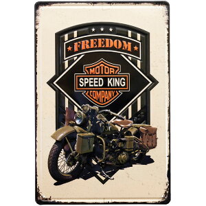 AeB[N^G{Xv[g@S SPEED KING oCN Z234 AJG