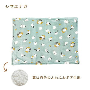 Aj} 3WAYЂ| uPbg ÓdCh~H GR@70×100cm 30070