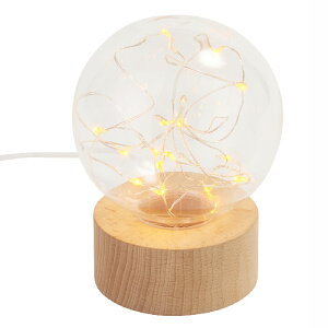 Fun Science h[ LEDCg 333-301@JY