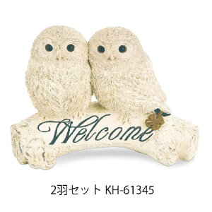 LV}@tNE@I[ig IuWF 1H KH-61347 / 2HZbg KH-61345@G ӂ낤 K[fG u