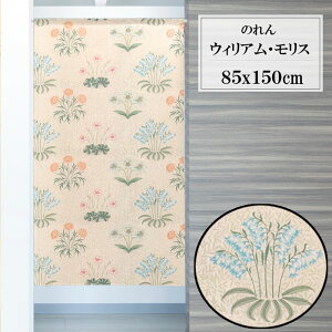 ̂@EBA X@S@85×150cm@{@RX ډB@97425