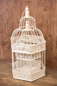 t[Xg o[hP[W wLTS S/2  召Zbg zCgNBC903HX-W/O[NBC903HX-G@Hf