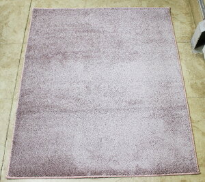 fXNJ[ybg `FA}bg ی}bg 110x130cm VM[ ё17mm n \tgiC@ AXttB FFY-55 sN h_j RێՉ h d ۉ zbgJ[ybgJo[ O