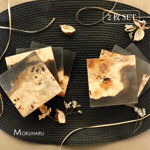 _yV}\10OFF!! 11/4 20:00-11/11 1:59^ybsOzEbhW R[X^[ 2Zbg9.4×9.4×0.8cm ؐ  |v W ICh S S Y {  yAMtg