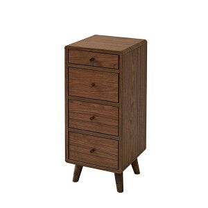 rO`FXg Pico `FXg 30cm FAP-0031 X RpNg`FXg 4i ؐ X`FXg ~h`FXg 킢  l炵 k