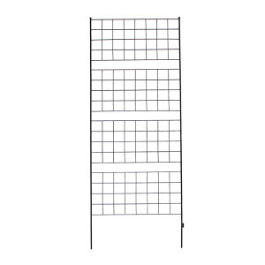   ACAtFX 226 Ot 1 _ mg[ ʋC ̌ ϋv K[fjO i`  S[ o AeB[N d؂