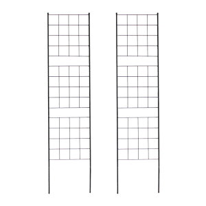   ACAtFX X^Cv 176 Ot 2g _ mg[ ʋC ̌ ϋv K[fjO i` AeB[N d؂