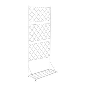 y|Cg7{I20Jnz  v^[ttFX nC^Cv Argyle A[KC g RpNg ډB   x_  KN  | O   X`[