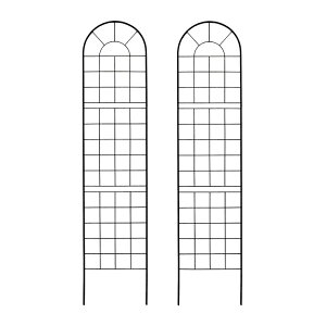 y|Cg9{I20Jnz  NVbNtFX220 nC^Cv 2g _ mg[ ʋC ̌ ϋv K[fjO k i`  KN AeB[N 