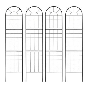   NVbNtFX220 nC^Cv 4g _ mg[ ʋC ̌ ϋv K[fjO k i`  KN AeB[N i