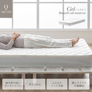 }bgX  NC[TCY {lRC}bgX 20cm Ciel(VG) ~zc ~zc  xbh}bg xbh}bgX RC}bgX {l}bgX d 