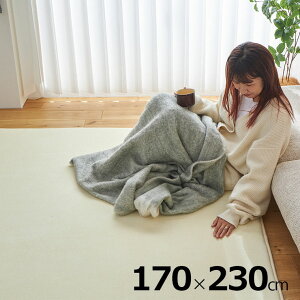 yzbgJ[ybg/g[ΉzO ~ h O}bg 170x230cm s^v~A ᔽ J[ybg ~O 􂦂 ` 3 O~  ׂ~ 1l炵 I[V[Y