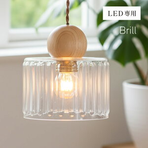 VƖ y_gCg KX ؐ k V[OCg  1 LEDdp KXVF[h Brill(u) Lb` Ɩ ݂艺 _Ng[ _CjO rO H