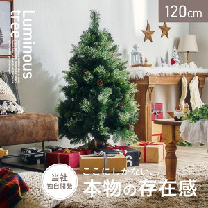 NX}Xc[ k[hc[ c[  Vv  k ȒPgݗ NX}X Xmas rO Q q qǂ 3̗t Luminous(~iX) k[hc[Pi 120cm