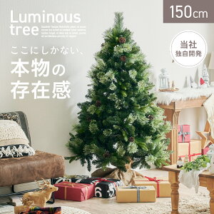 y|Cg10{I20JnIzNX}Xc[ k[hc[ c[  Vv  k ȒPgݗ NX}X Xmas rO Q q qǂ 3̗t Luminous(