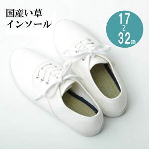 y|Cg10{!20`241:59zy{zC\[ 17`32cm ~ L C SC vC Xj[J[ u[c Ռz Y fB[X 17cm 18cm 19cm 20cm 21cm 22cm 23cm 24cm 25cm 26cm 27cm 28cm 29cm 