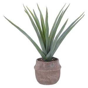 人工観葉植物 フェイクグリーン アロエ M セメントポット 卓上 人工植物 観葉植物 おしゃれ フェイク 造花 グリーン インテリア