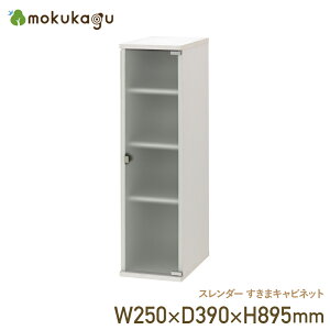 X_[ ܃Lrlbg W250 D390 H895 X_[V[Y Lrlbg h[ Lb` rO [Ƌ ؐƋ vbV ЊJ EJ J ㉺A Iғ 25cm 