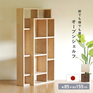 I[vVFt nC^Cv W850 D290 H1550 Ƌ Y { ؐ[ I fBXvCI I[vVFt nC^Cv ʎgp 85cm s29cm 155cm CeA [Ƌ I 