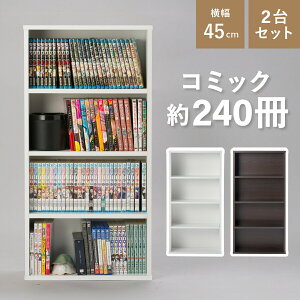 R~bNI 2Zbg W450 D165 H900 I[vVFt I ؂̖{I [Ƌ ؐƋ 2Zbgi Œ莮I ㉺A A X VvfUC ɖ{ { DVD Blu-ray Q[\t