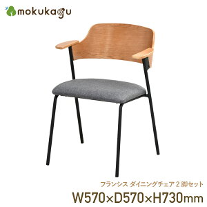 tVX _CjO`FA 2rZbg W570 D570 H730 tVXV[Y  CX ֎q `FA ANZg`FA ؐƋ ؐ֎q pCvt[ n[tA[ X`[r Zbgi 