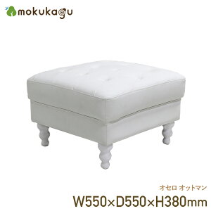 IZ Ibg} W550 D550 H380 IZV[Y Ibg} ֎q `FA ؐƋ U[ LeBO NX{^Xeb` rO\ K[[ GKg 55cm s55cm 38cm 