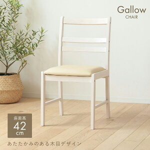 Vv`FA W410 D500 H795 _CjO`FA  CX ֎q ؂̃`FA ؐƋ PVCU[ ؖ wt ȒP  ȃXy[X Vv t`Jg[ H d ׋ 