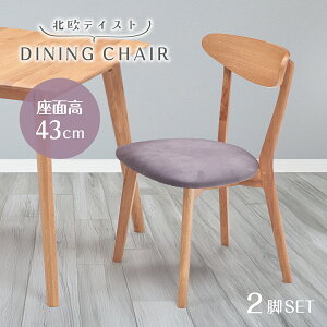 W[i `FA W450 D510 H770 W[iV[Y _CjO`FA ֎q  ؐƋ ؂̃`FA Ƌ C 2rZbg  ʎH k  45cm s51cm 77cm C